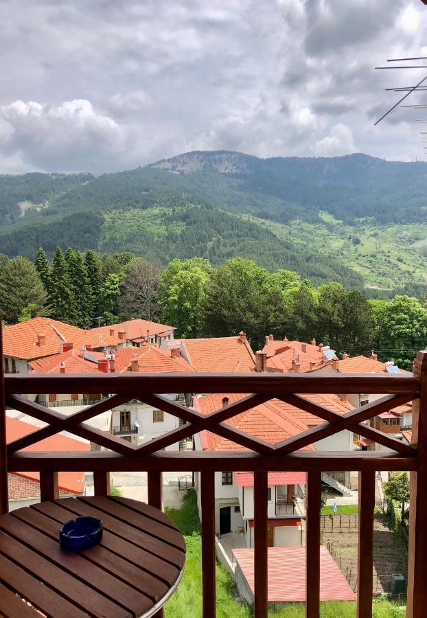Ξενοδοχείο Απόστολος Μέτσοβο Εξωτερικό φωτογραφία