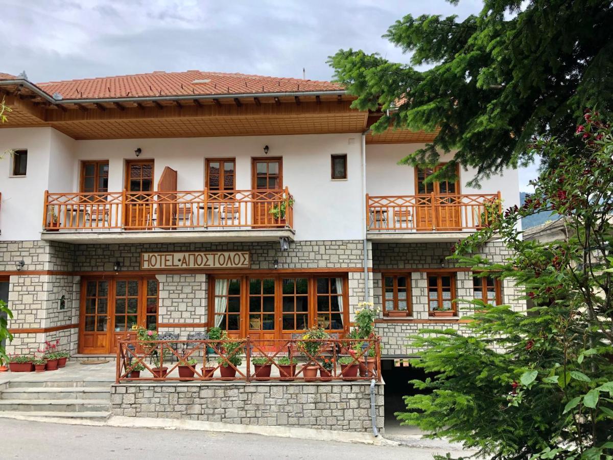 Ξενοδοχείο Απόστολος Μέτσοβο Εξωτερικό φωτογραφία