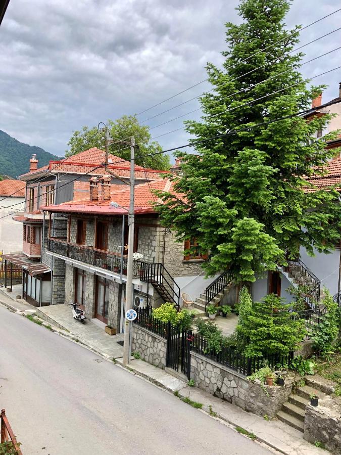 Ξενοδοχείο Απόστολος Μέτσοβο Εξωτερικό φωτογραφία